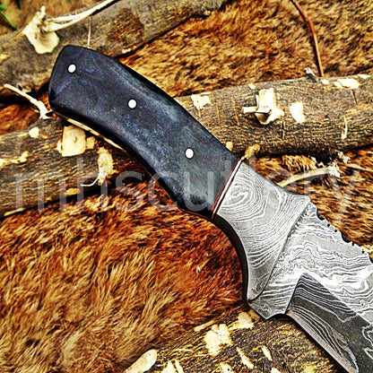 Damascus Steel Bull Horn Gut Hook | mhscutlery